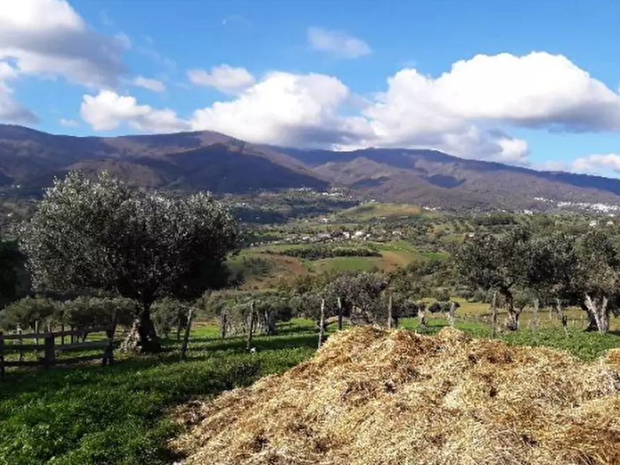 Immagine 1 di Rustico / casale in vendita  in Contrada Bongiovanni a Lattarico