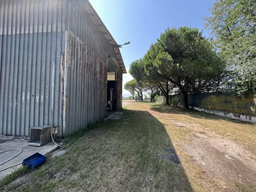 Immagine 1 di Capannone industriale in vendita  in Strada Statale Romea 102 a Chioggia