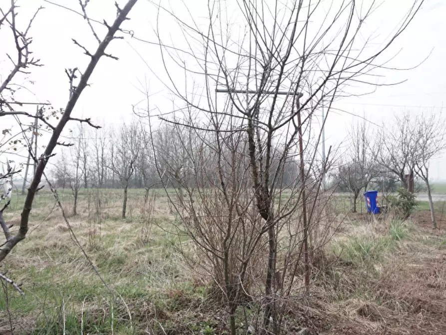 Immagine 8 di Rustico / casale in vendita  in via al malcantone a Sorbolo Mezzani