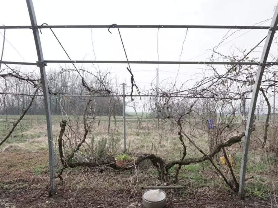 Immagine 9 di Rustico / casale in vendita  in via al malcantone a Sorbolo Mezzani
