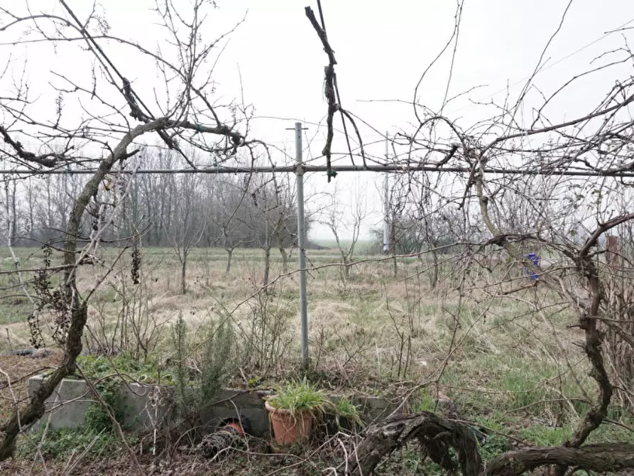 Immagine 10 di Rustico / casale in vendita  in via al malcantone a Sorbolo Mezzani