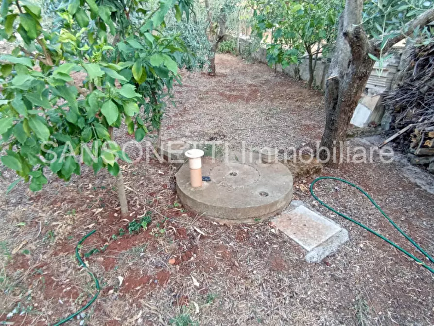 Immagine 49 di Villa in vendita  in ANES a Fasano