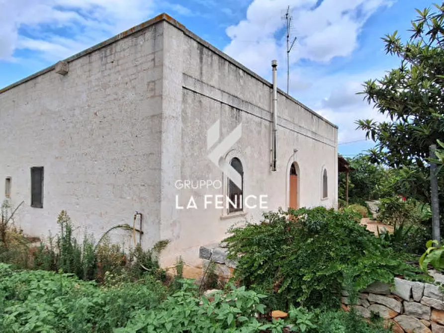 Immagine 8 di Rustico / casale in vendita  in contrada Martucci a Martina Franca