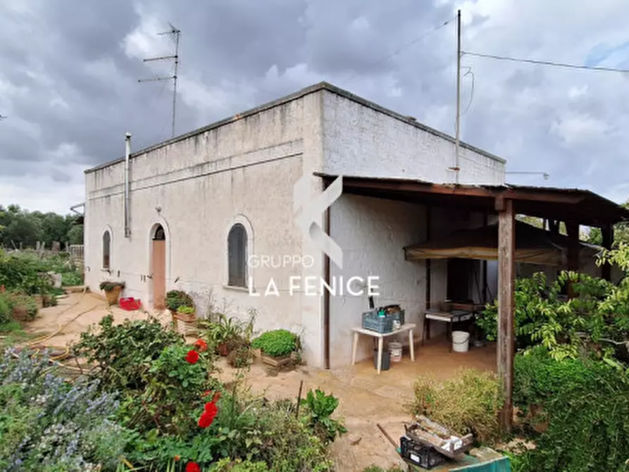 Immagine 9 di Rustico / casale in vendita  in contrada Martucci a Martina Franca