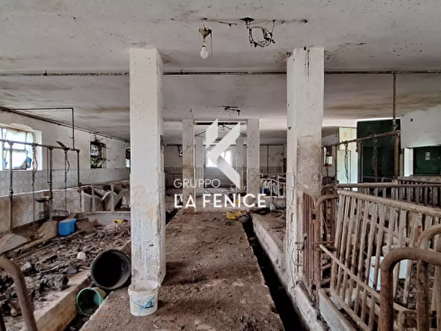 Immagine 21 di Rustico / casale in vendita  in contrada Martucci a Martina Franca