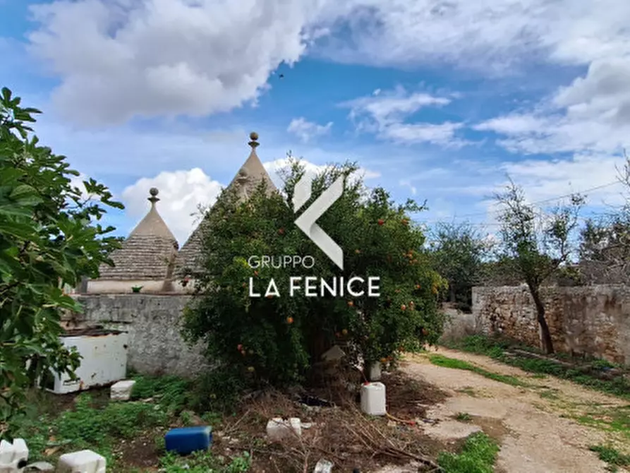 Immagine 29 di Rustico / casale in vendita  in contrada Martucci a Martina Franca