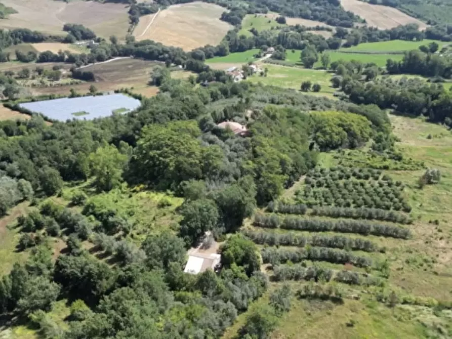 Immagine 1 di Rustico / casale in vendita  in Strada di Corgneda a Narni