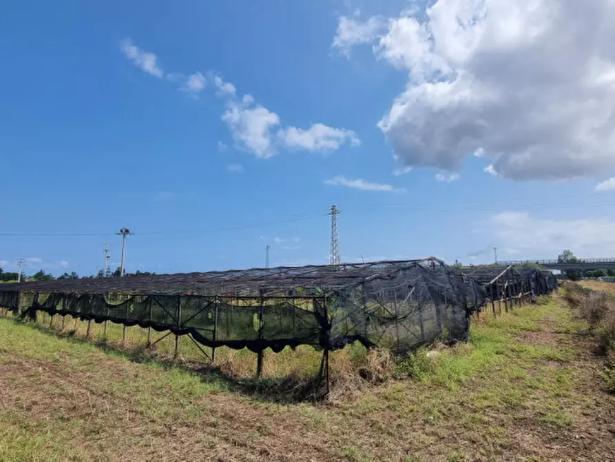 Immagine 1 di Terreno in vendita  in contrada brigandì a Milazzo