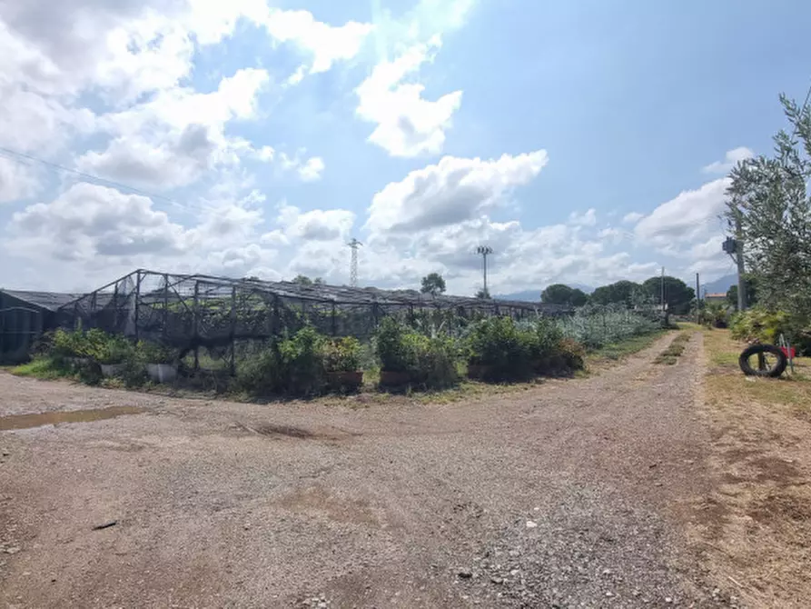 Immagine 2 di Terreno in vendita  in contrada brigandì a Milazzo