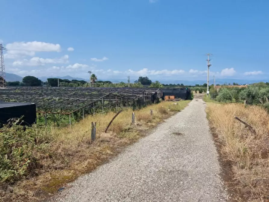 Immagine 3 di Terreno in vendita  in contrada brigandì a Milazzo