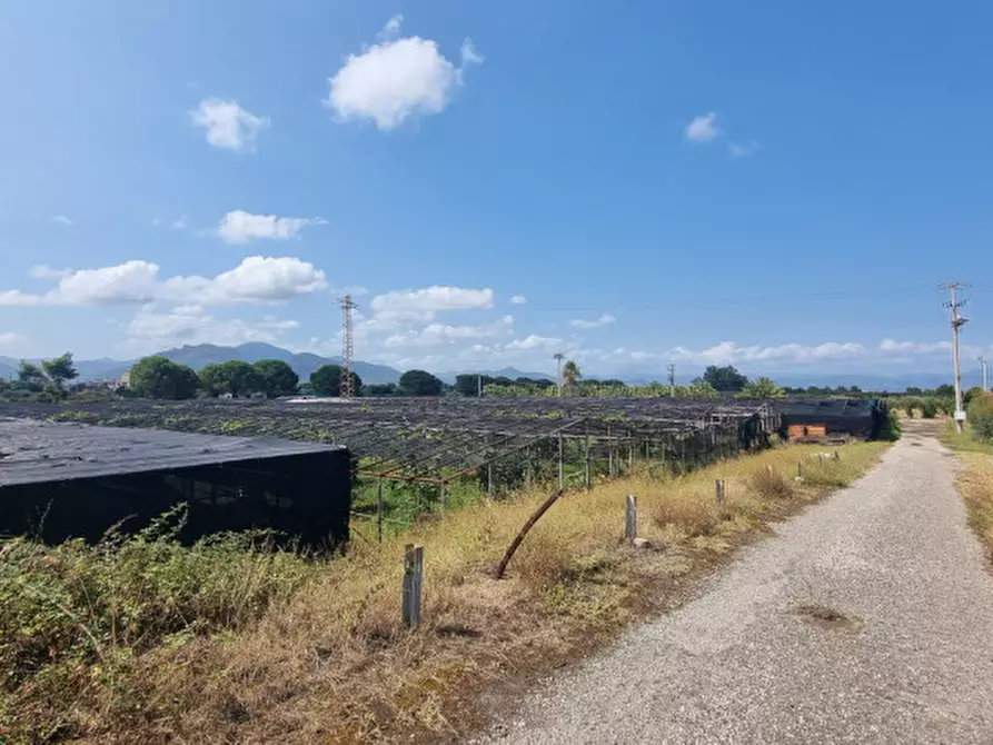 Immagine 4 di Terreno in vendita  in contrada brigandì a Milazzo