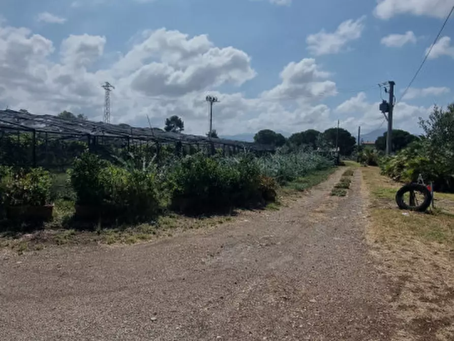 Immagine 5 di Terreno in vendita  in contrada brigandì a Milazzo