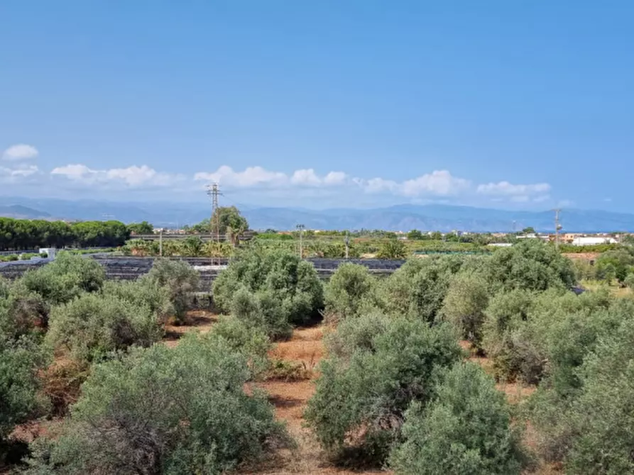 Immagine 6 di Terreno in vendita  in contrada brigandì a Milazzo