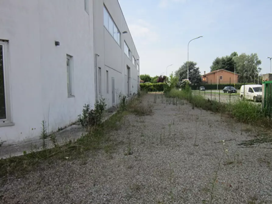 Immagine 2 di Capannone industriale in vendita  in gracco spaziani a Castel D'ario