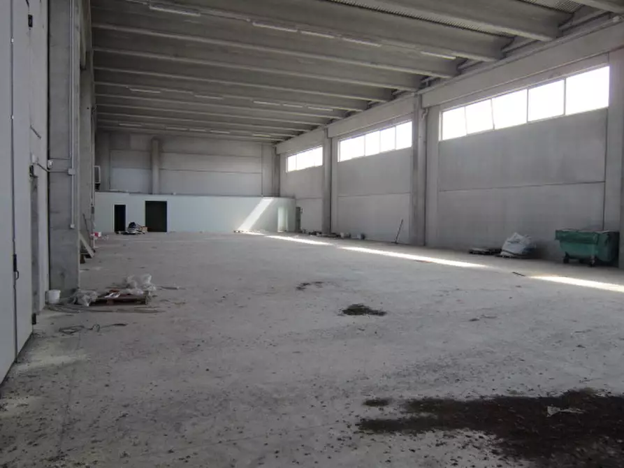 Immagine 8 di Capannone industriale in vendita  in gracco spaziani a Castel D'ario