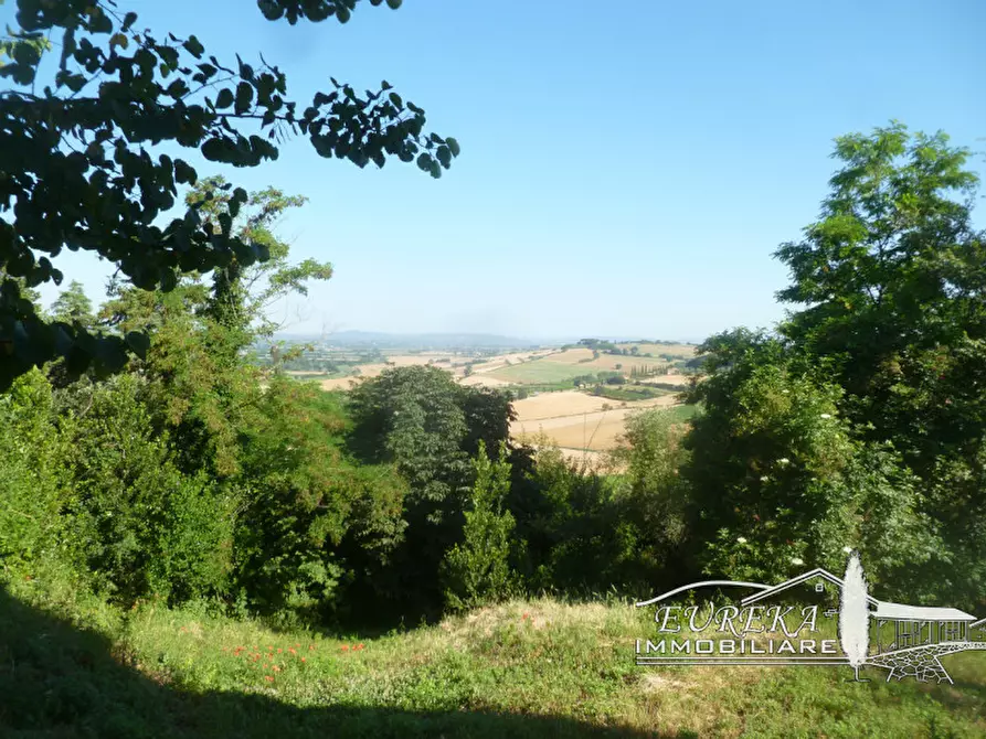 Immagine 33 di Casa indipendente in vendita  in valiano a Montepulciano