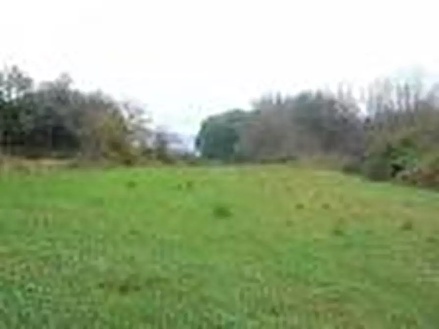 Immagine 2 di Terreno in vendita  in VIA BORGOFURO a Borgo Veneto