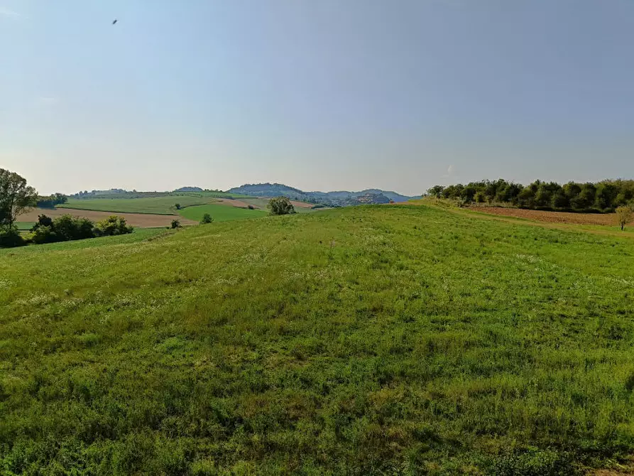 Immagine 9 di Rustico / casale in vendita  in Cascina Pizzi 3 a Solonghello