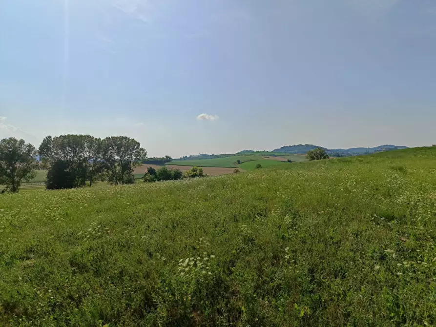 Immagine 33 di Rustico / casale in vendita  in Cascina Pizzi 3 a Solonghello