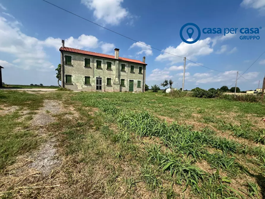 Immagine 2 di Casa indipendente in vendita  in Bellombra, Via Burchio a Adria