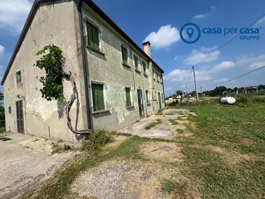 Immagine 4 di Casa indipendente in vendita  in Bellombra, Via Burchio a Adria