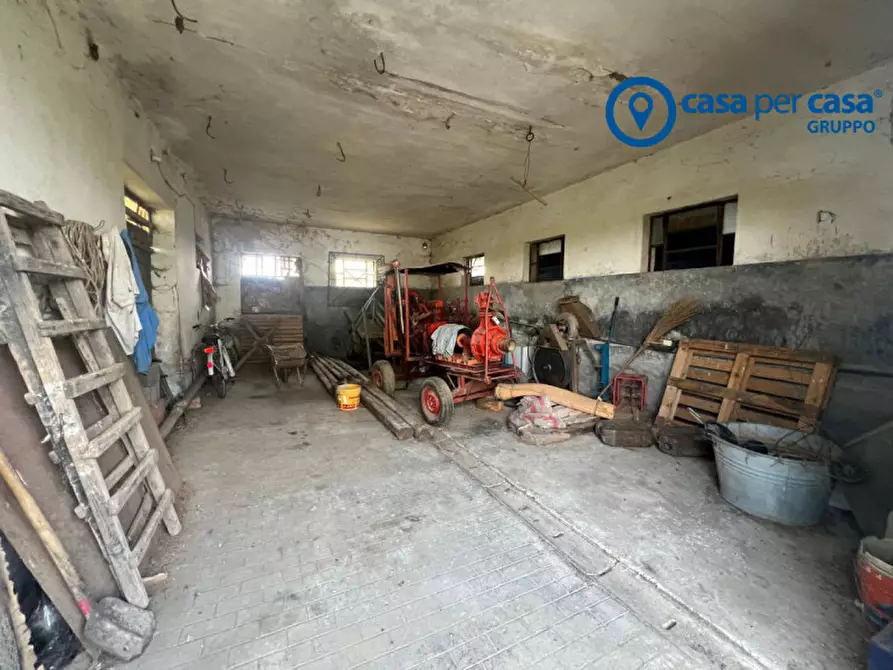 Immagine 19 di Casa indipendente in vendita  in Bellombra, Via Burchio a Adria