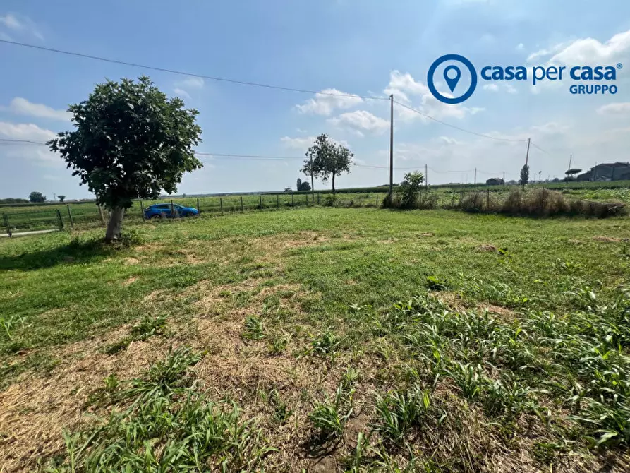 Immagine 20 di Casa indipendente in vendita  in Bellombra, Via Burchio a Adria