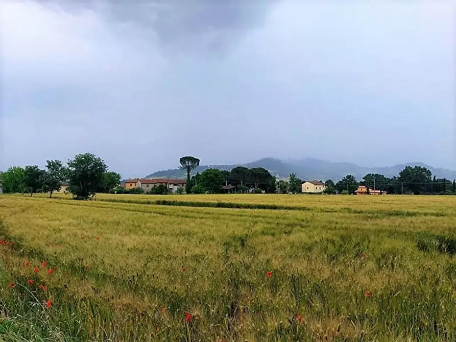 Immagine 1 di Terreno in vendita  in Località Pian di San Martino a Todi