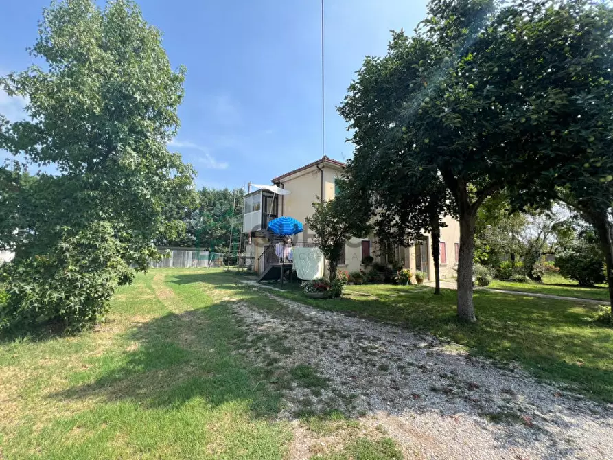 Immagine 15 di Villa in vendita  in via leonardo da vinci a Eraclea