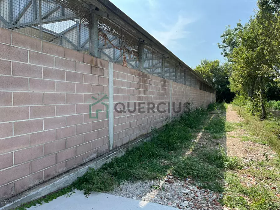 Immagine 17 di Villa in vendita  in via leonardo da vinci a Eraclea