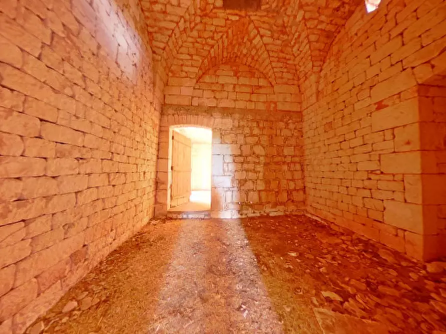 Immagine 36 di Rustico / casale in vendita  a Cisternino