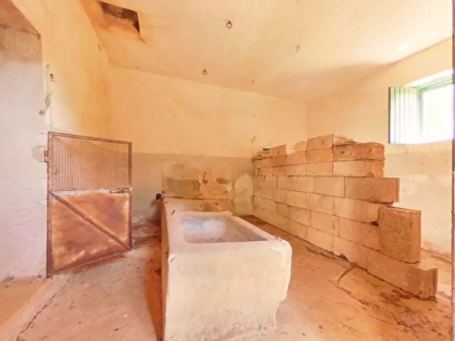 Immagine 38 di Rustico / casale in vendita  a Cisternino