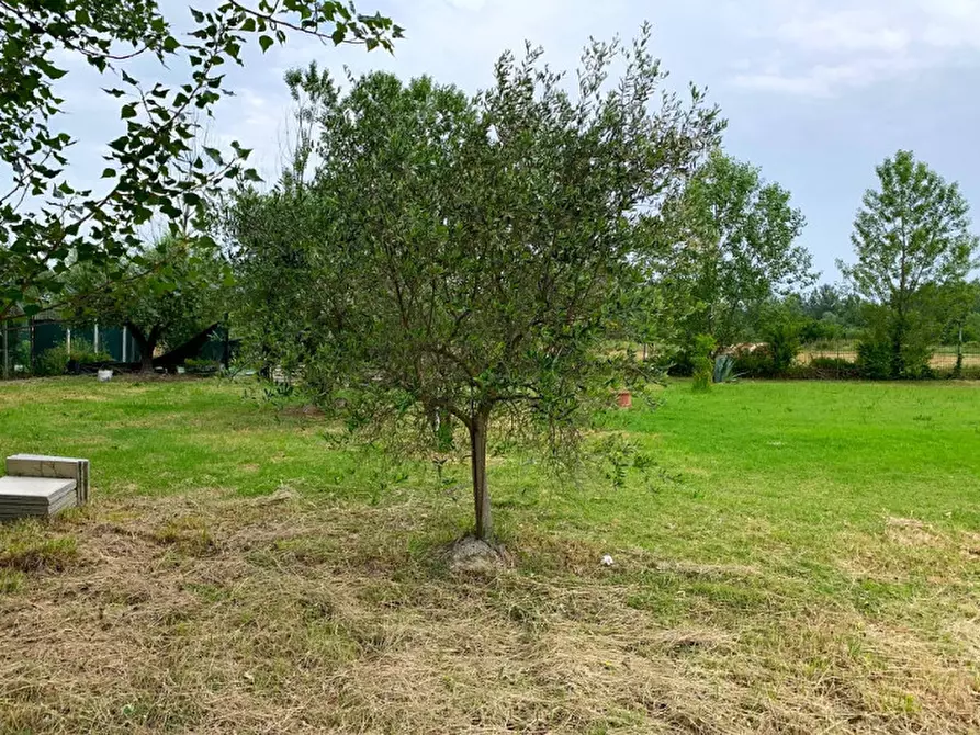 Immagine 1 di Terreno in vendita  in via Fornace a Misano Adriatico