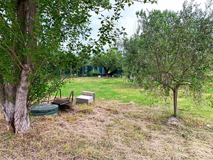 Immagine 4 di Terreno in vendita  in via Fornace a Misano Adriatico