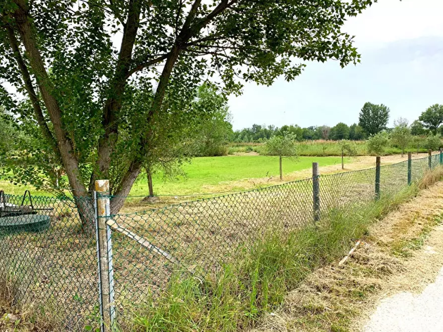 Immagine 5 di Terreno in vendita  in via Fornace a Misano Adriatico