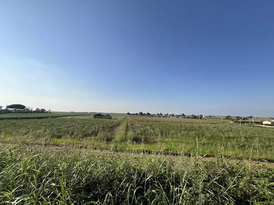 Immagine 4 di Terreno in vendita  a Cavarzere