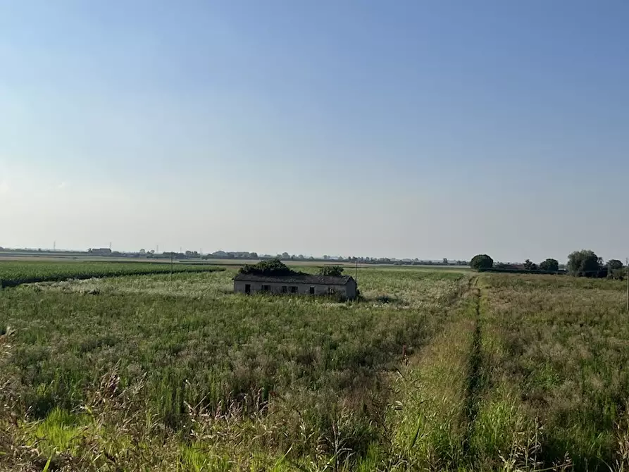 Immagine 5 di Terreno in vendita  a Cavarzere