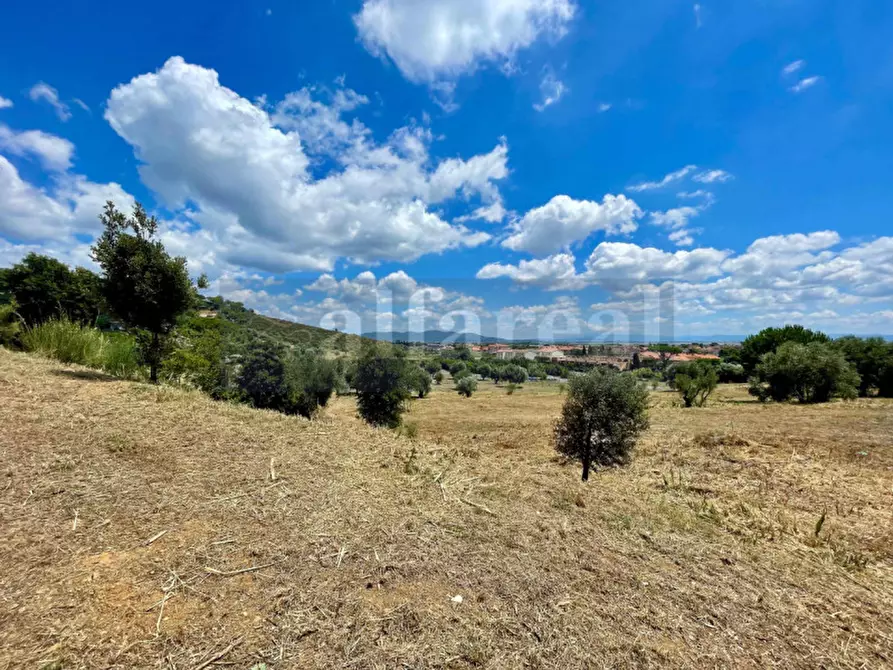 Immagine 14 di Appartamento in vendita  in Via dei Ginepri a Castiglione Della Pescaia