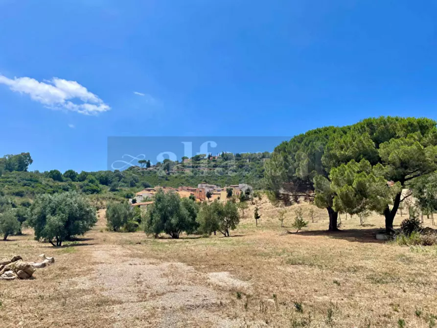 Immagine 18 di Appartamento in vendita  in Via dei Ginepri a Castiglione Della Pescaia