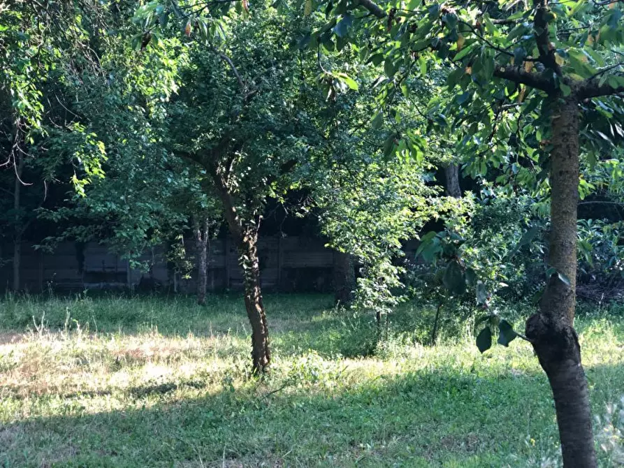 Immagine 33 di Casa indipendente in vendita  in via val d'ossola 79 a Vanzago
