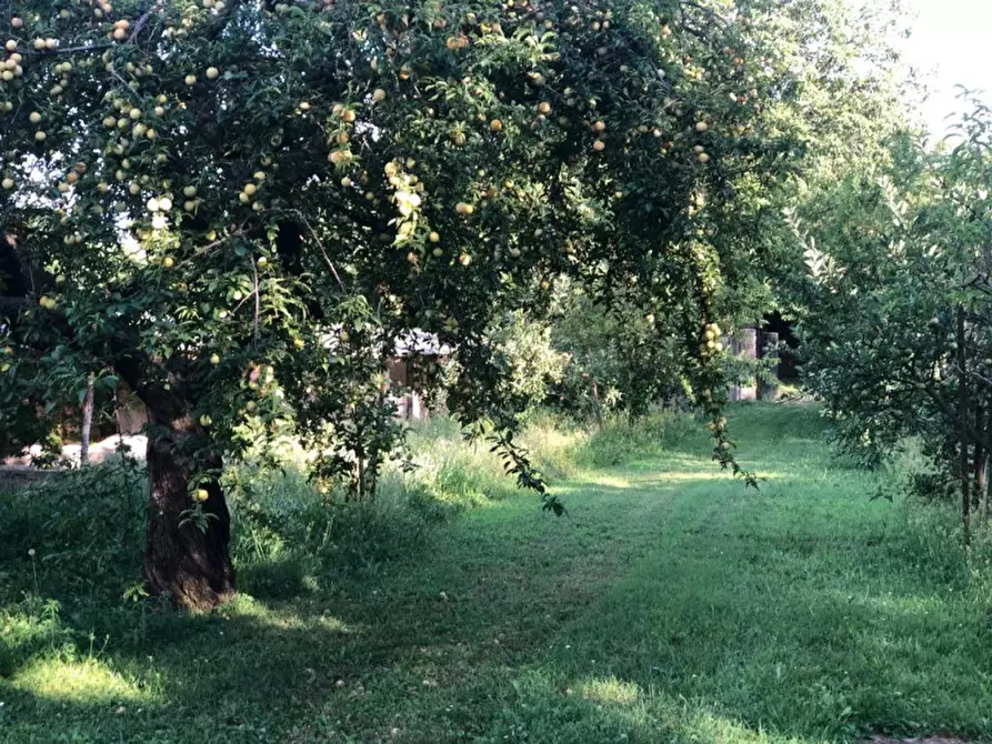 Immagine 35 di Casa indipendente in vendita  in via val d'ossola 79 a Vanzago