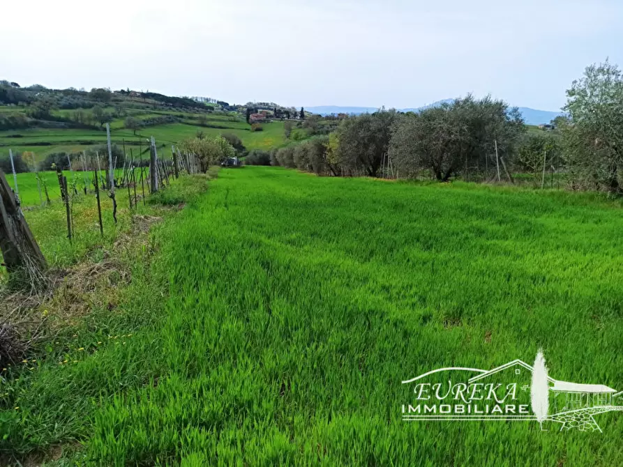 Immagine 1 di Terreno in vendita  in gioiella a Castiglione Del Lago