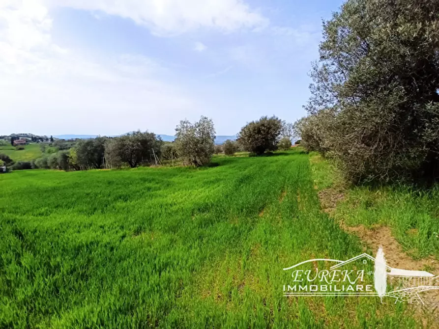Immagine 5 di Terreno in vendita  in gioiella a Castiglione Del Lago