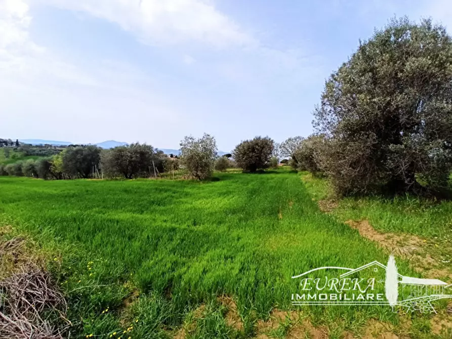 Immagine 6 di Terreno in vendita  in gioiella a Castiglione Del Lago