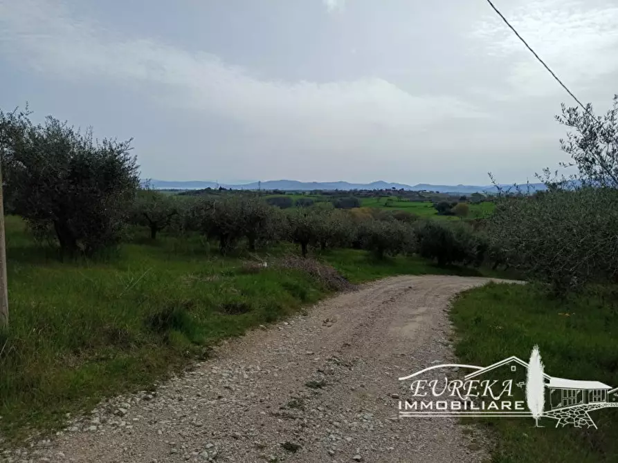 Immagine 7 di Terreno in vendita  in gioiella a Castiglione Del Lago