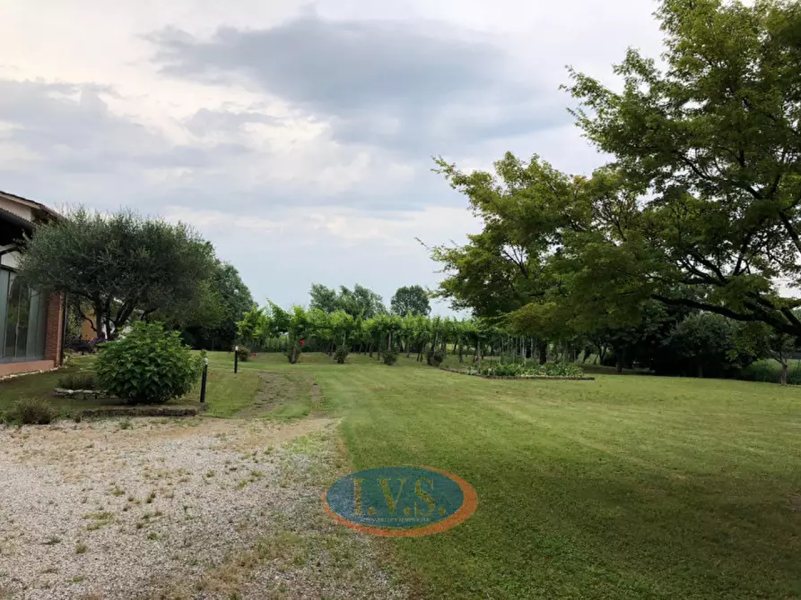 Immagine 10 di Villa in vendita  in Via D. Cattaneo nr 1 a Montegalda