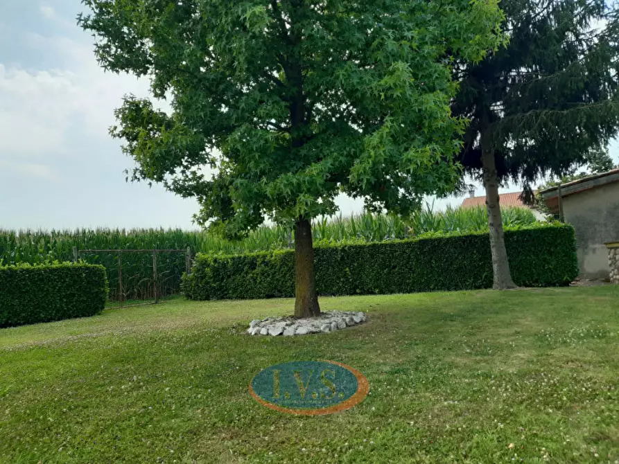 Immagine 14 di Villa in vendita  in Via D. Cattaneo nr 1 a Montegalda