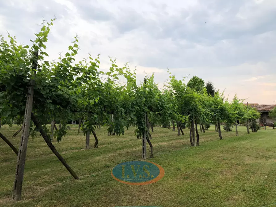 Immagine 30 di Villa in vendita  in Via D. Cattaneo nr 1 a Montegalda