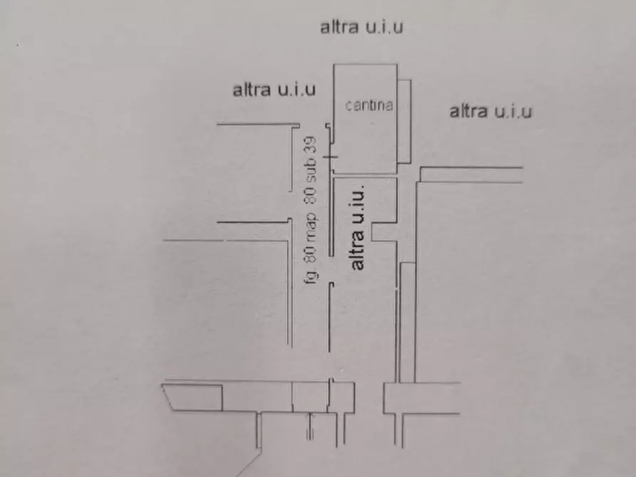 Immagine 1 di Cantina in vendita  in via luigi corsi a Savona