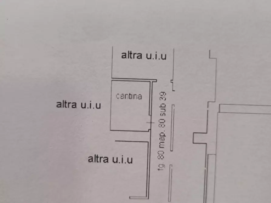 Immagine 2 di Cantina in vendita  in via luigi corsi a Savona